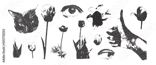 Flowers, cat and human eye collage set. Cutout photocopy simple floral, thumb up hand elements. Pieces of retro magazine halftone wildflowers. Vector retro illustration isolated on white background.