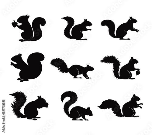 Set of Squirrel Silhouettes, Simple forest animal shapes for logo design On White Background
