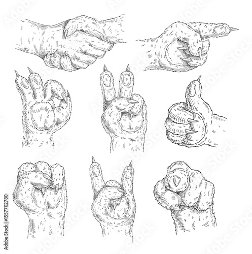 Cat paw show sign. Like, handshake, ok, victory, pointing, Rock and Roll gesture. Vector black vintage engraved illustration isolated white background
