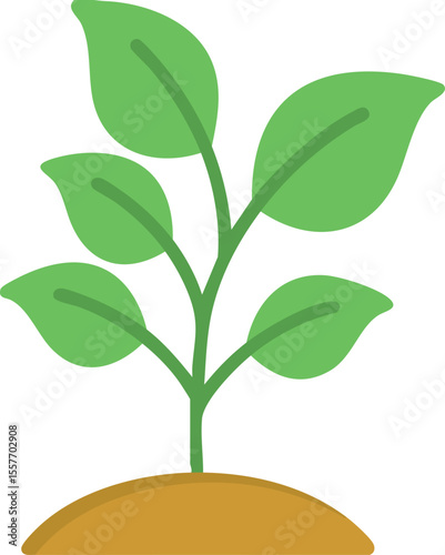 A tiny green sprout grows from soil, featuring a young plant with lush leaves in a black background representing new life and growth.