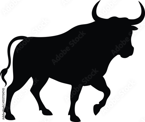 Aggressive rare bull walking forward with powerful muscles and intense gaze silhouette vector