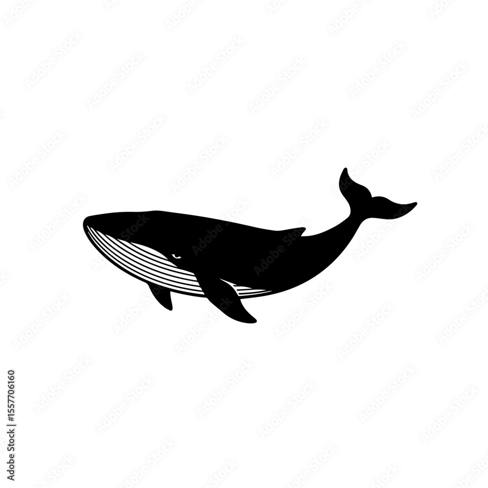 Fototapeta premium Whale and dolphin day celebration graphic with elegant whale illustration. This detailed whale image is perfect for marine conservation projects.