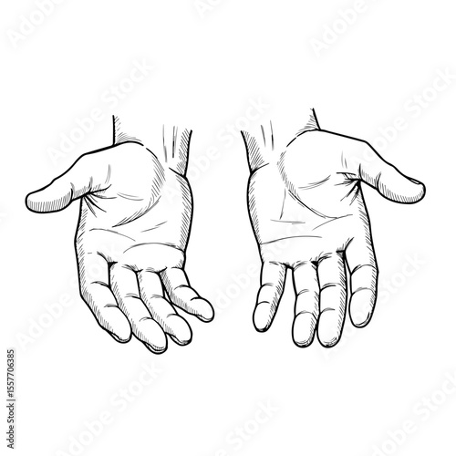 Two hands cupped open in giving gesture. Hands illustration depicts helping hands reaching out to offer support or assistance.  Concept image ideal for charity campaigns, volunteer work,