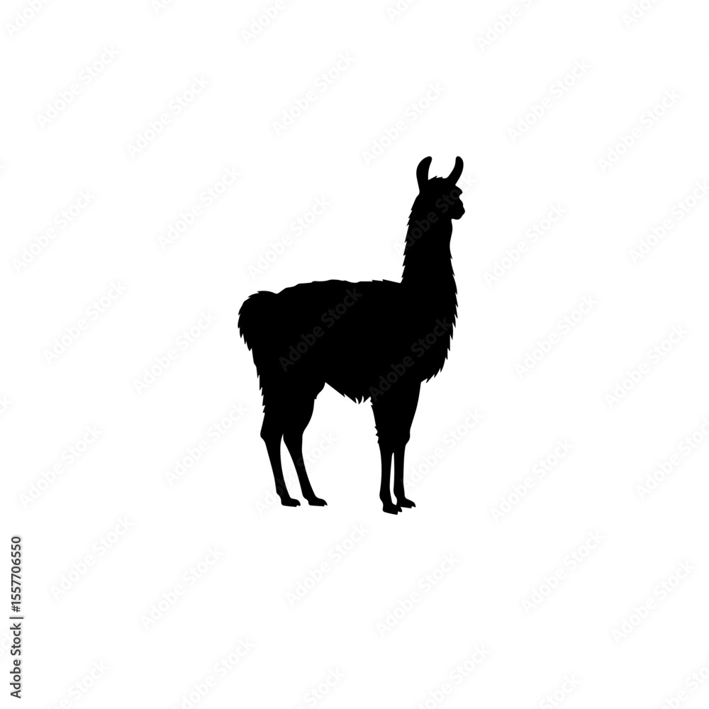 Fototapeta premium Peruvian llama silhouette. Elegant llama silhouette perfect for Peruvian Independence Day designs. This llama silhouette is ideal for postcards, invitations,