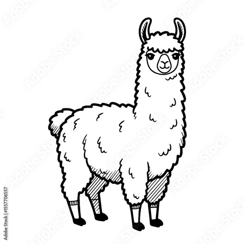 Adorable llama illustration perfect for Peruvian Independence Day cards and apparel.  This cute llama graphic features fluffy fur and charming details,