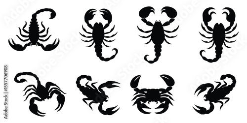 Scorpio Zodiac Sign Symbol, Black Scorpion Silhouette for Astrology and Horoscope On White Background
