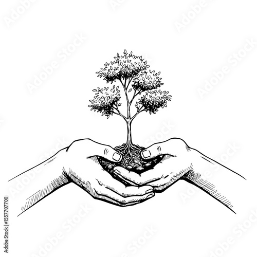 Protecting nature young tree in hands. Environmental conservation image showing hands holding sapling. World Nature Conservation Day concept for eco-friendly projects and sustainability initiatives.