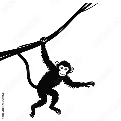 Monkey swinging silhouette on vine in minimalist black and white vector illustration