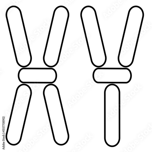 The x and y chromosome icon are shown in a simple design determining gender in humans in the field of genetics, biology, especially in the context of fetal health.