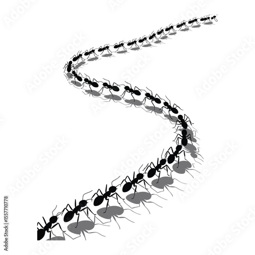 Silhouette of ants marching in trail formation for nature and insect-themed vector design