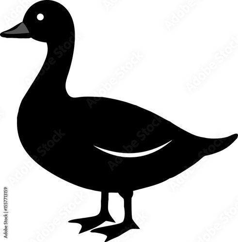 White duck or goose, a beautiful wild waterfowl, isolated on a clean background