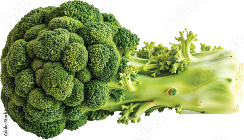 broccoli isolated on white