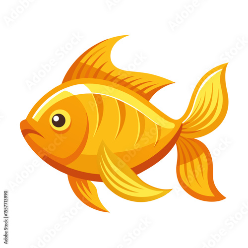 gold fish isolated on white background