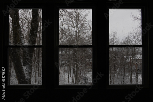 snowy trees through window