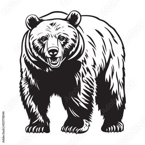 Silhouette of Grizzly Bear, Polar bear vector illustration 