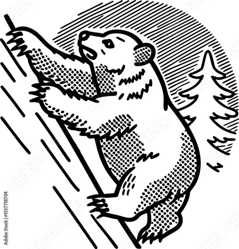 Engraved bear climbing tree illustration wild animal in forest, vintage woodcut style, wildlife adventure scene