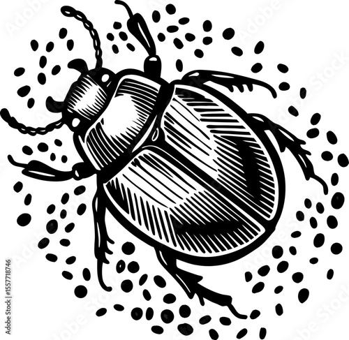 detailed black beetle illustration insect with textured body and legs, stippled drawing on white background