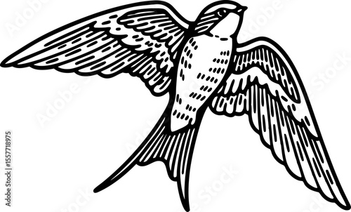 Flying swallow bird illustration elegant line art drawing, wings spread, vintage tattoo animal design