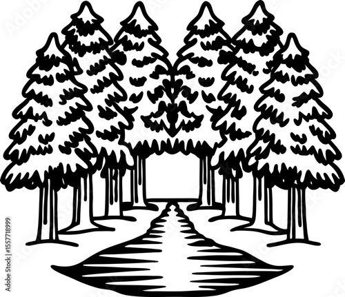 Dense evergreen forest with tall pine trees and winding path serene woodland nature landscape, tranquil wilderness scene