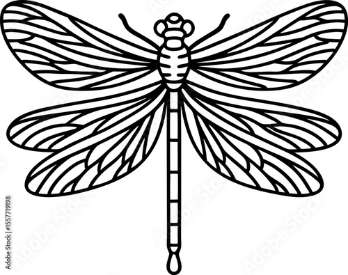 Detailed dragonfly illustration in black and white, symmetrical insect with intricate wings and segmented body outline