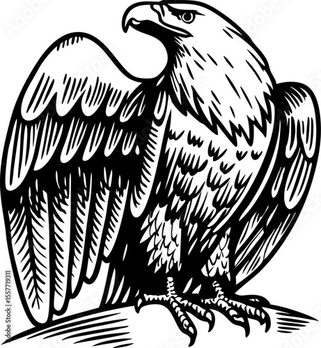 Powerful eagle illustration with detailed wings and fierce expression majestic bird perched, black and white drawing
