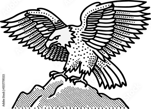 Eagle with wings spread landing on rock powerful raptor, sharp talons, wild bird illustration, monochrome line art