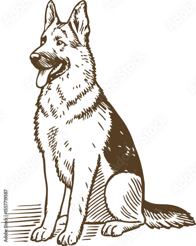 Alert german shepherd dog sitting, sketch drawing loyal guard canine, attentive pet illustration, animal portrait