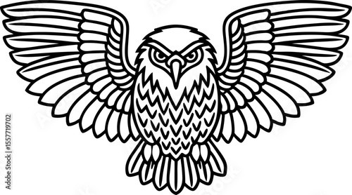 Fierce owl with outstretched wings in flight black and white animal illustration, detailed line drawing