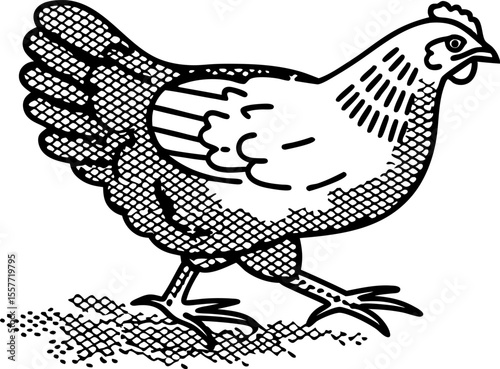 Vintage chicken illustration, walking hen, sketch drawing in black and white, rustic farm animal, poultry icon