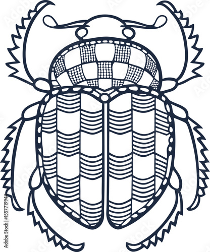 intricate beetle illustration with geometric patterns, decorative scarab line art, symmetrical insect design