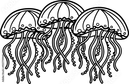 Three stylized jellyfish illustration with detailed tentacles black outlines, underwater sea animal graphic art