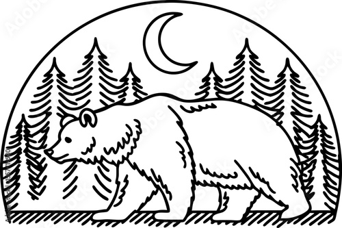 Grizzly bear walking in forest, crescent moon night wildlife illustration, silhouette outline with pine trees