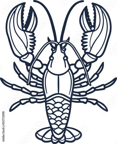Lobster outline with detailed claws and segmented body marine animal illustration, crustacean seafood line art