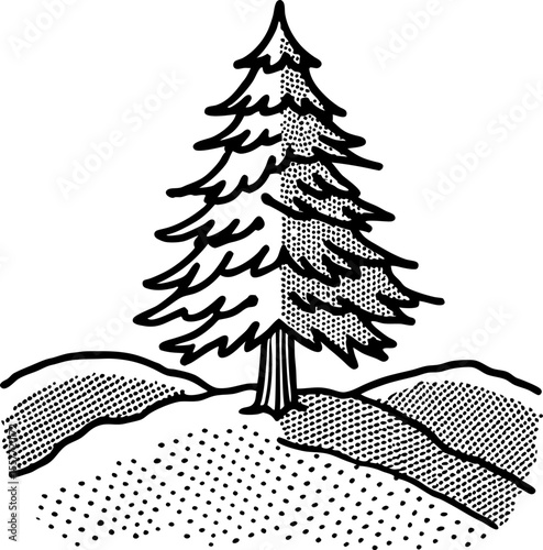 Hand drawn evergreen pine tree illustration vintage sketch tree with textured needles on hillside landscape