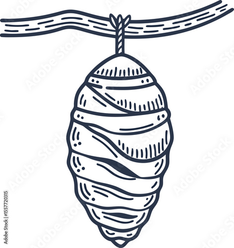 Cocoon hanging from branch hand drawn larva transformation stage, metamorphosis lifecycle nature illustration