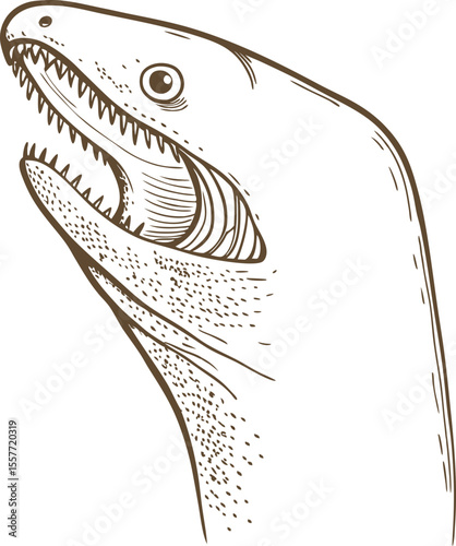 Moray eel head illustration detailed hand drawn aquatic predator with sharp teeth, underwater marine animal concept