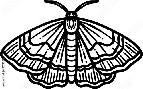 Detailed black and white butterfly illustration symmetrical insect wings, natural pattern, entomology, graphic line art