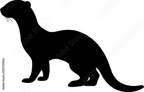 Black vector silhouettes of domestic pets and animals like cats, dogs, and kangaroos with tails isolated on whiteBlack vector silhouettes of domestic pets and animals like cats, dogs, and kangaroos wi