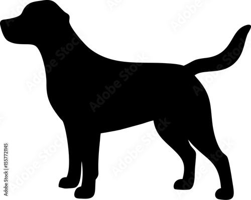 Black animal vector silhouette illustration of an isolated dog, cat, and wolf, perfect for nature and pet-themed designs