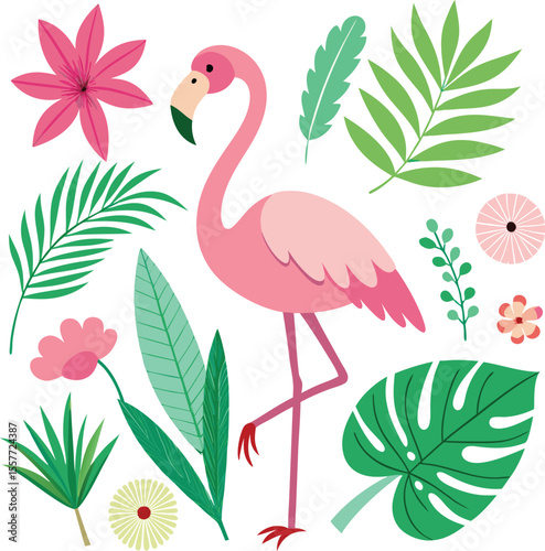 pink flamingo vector illustration