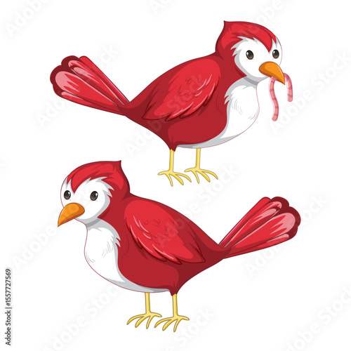 Joyful Pair of Cardinal: A detailed illustration showcasing two vibrant red cardinals, one poised to feed, the other in curious observation, highlighting their delightful charm.
