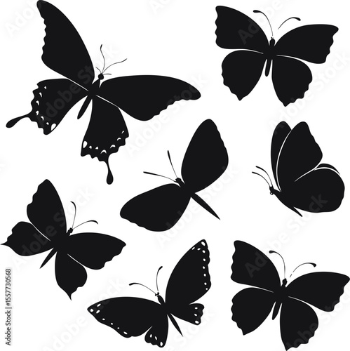 Set of butterfly silhouettes Black butterfly silhouettes. Outline butterflies romantic tattoo, tropical insects stencil. Summer and spring exotic symbols isolated vector set. Elegant wild flying moth 