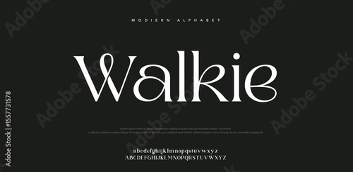 Walkie elegant Font Uppercase Lowercase and Number. Classic Lettering Minimal Fashion Designs. Typography  fonts regular decorative vintage concept. vector illustration