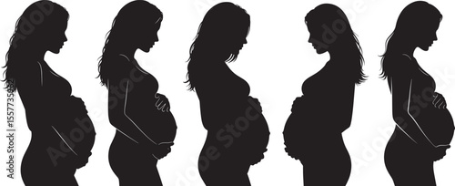 Pregnant Woman Expecting Mother Silhouette vector illustration