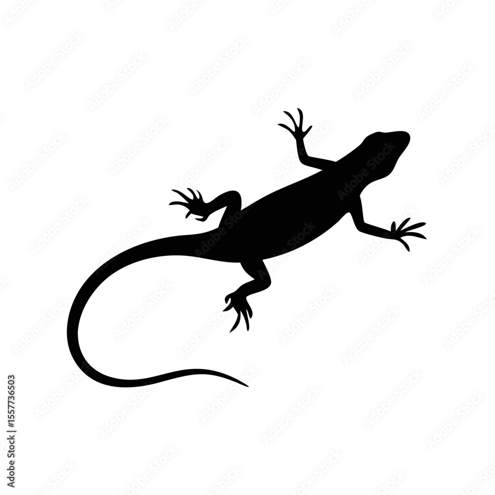 Fototapeta premium Sand lizard silhouette in black and white flat vector illustration on white background