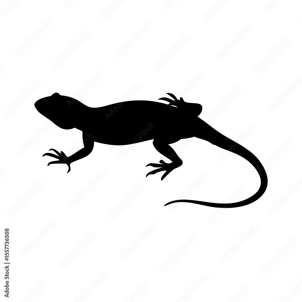 Fototapeta premium Sand lizard silhouette in black and white flat vector illustration on white background