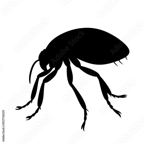 Flea insect silhouette in black and white flat vector illustration on white background