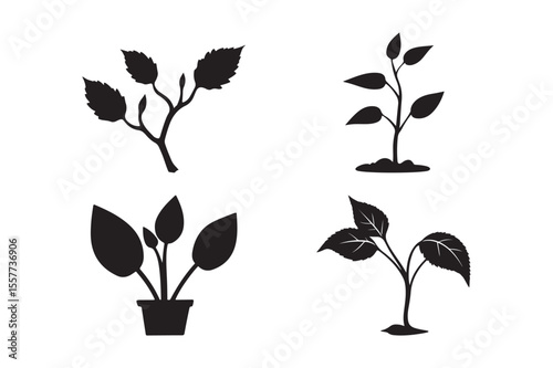 Plant Silhouette Icon Set Black Botanical Vector of Leaves, Seedlings, and Potted Greenery for Eco Design
