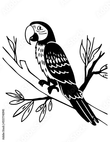 macaw parrot
