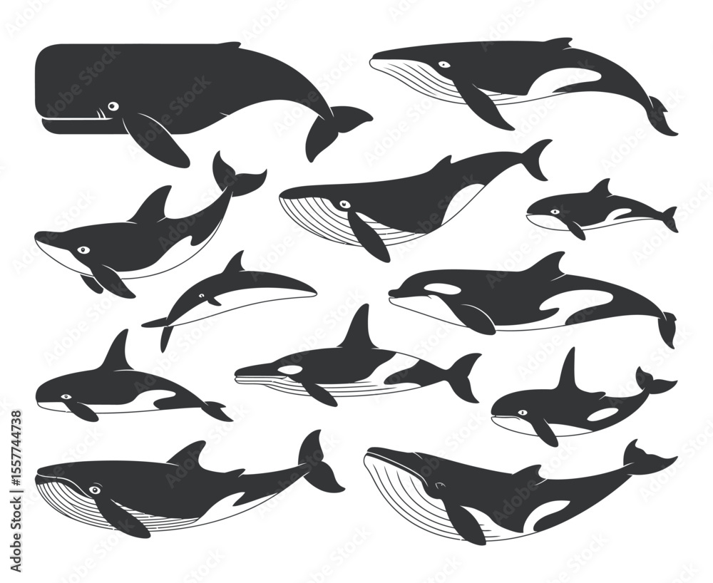 Obraz premium Collection of Black and White Silhouettes of Various Whale Species Simple illustrations different whale types black white style whale orca dolphin sperm whale